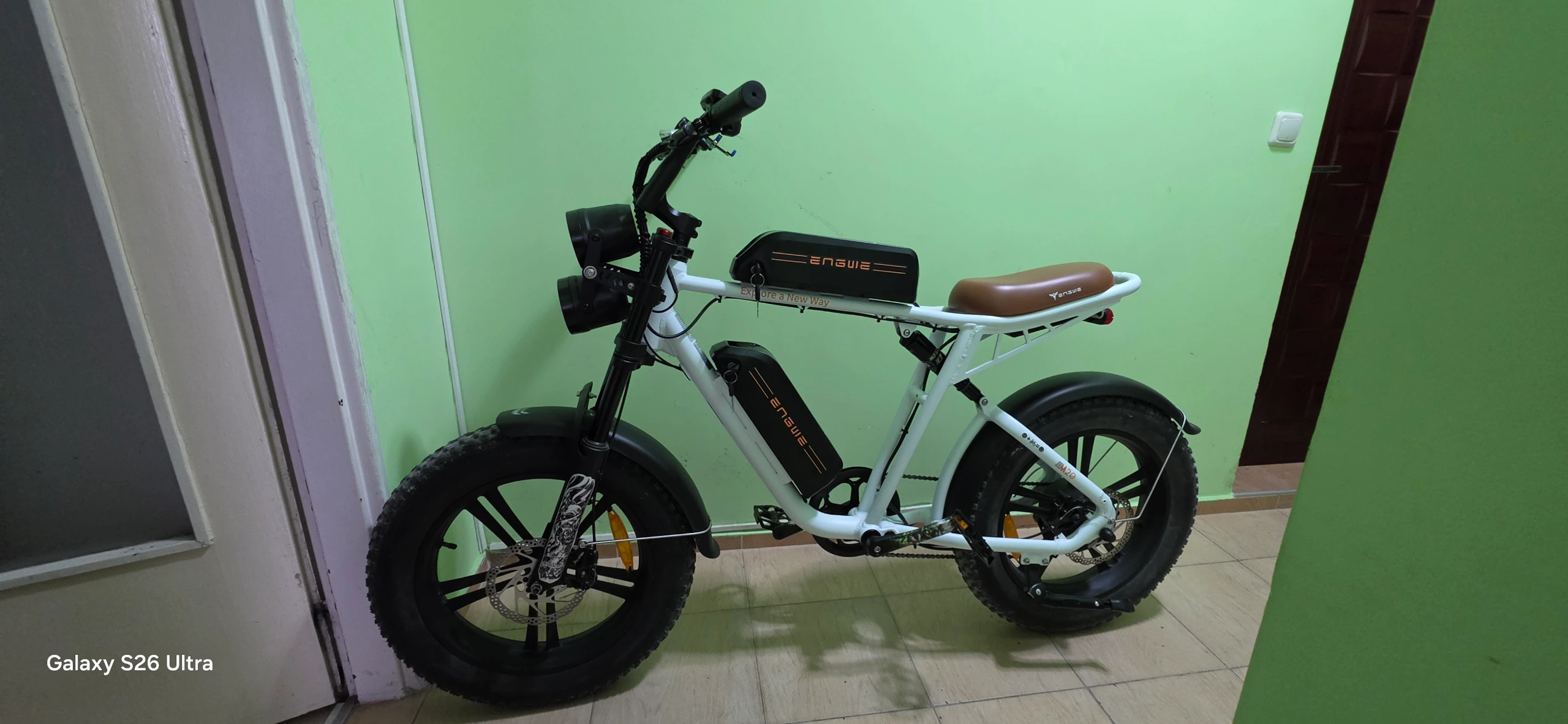 Engwe m20